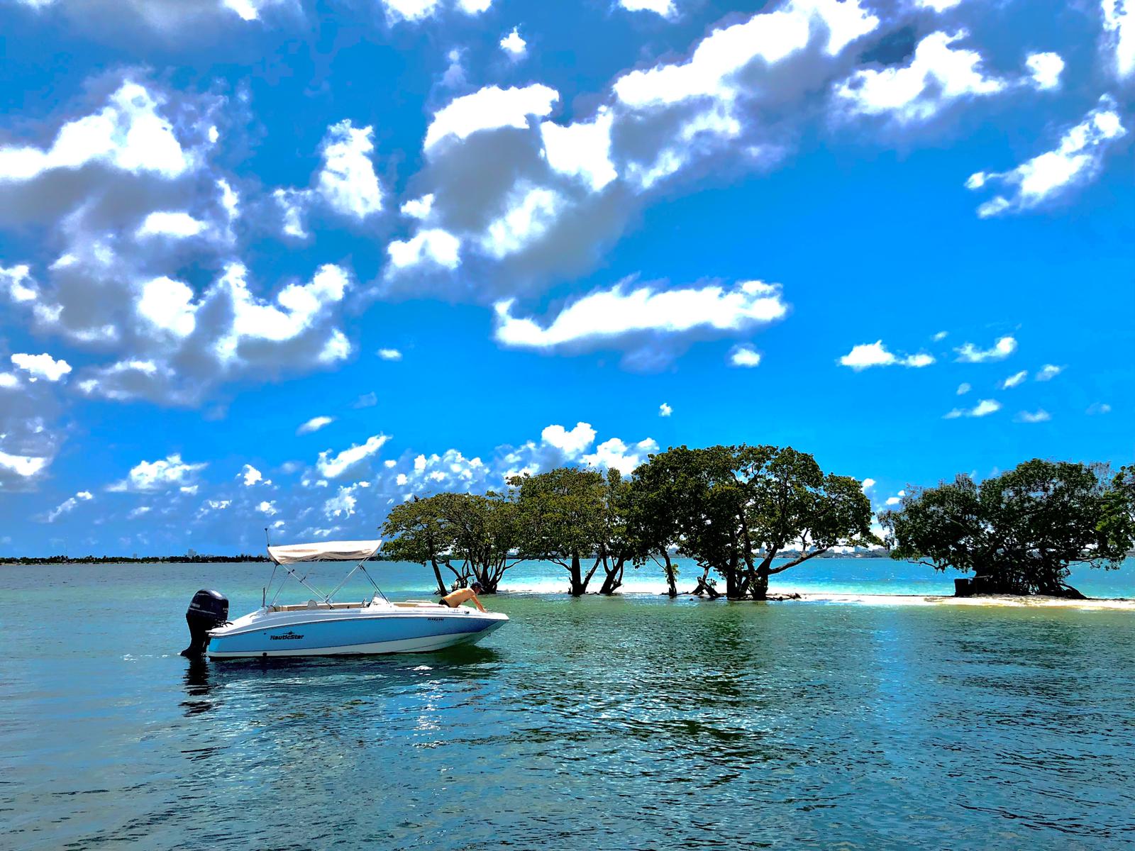 rent a sailboat miami